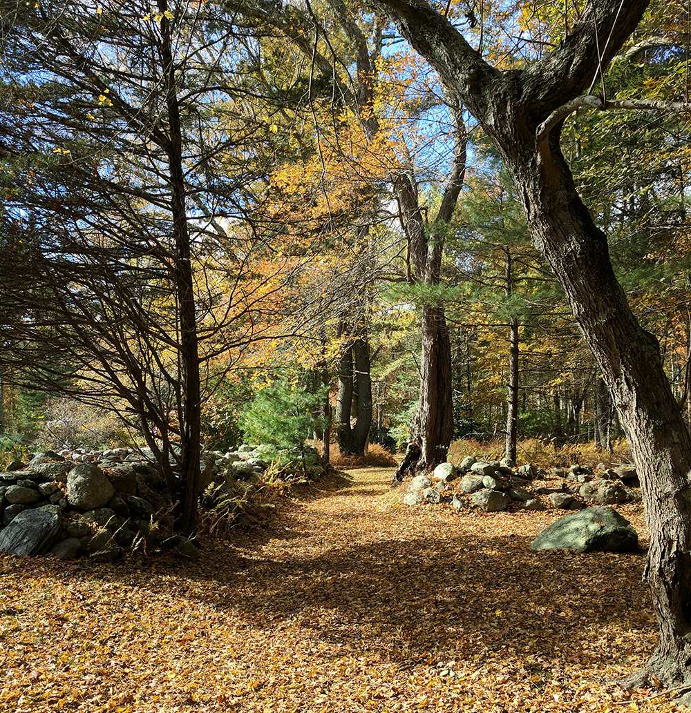 Fall Trail