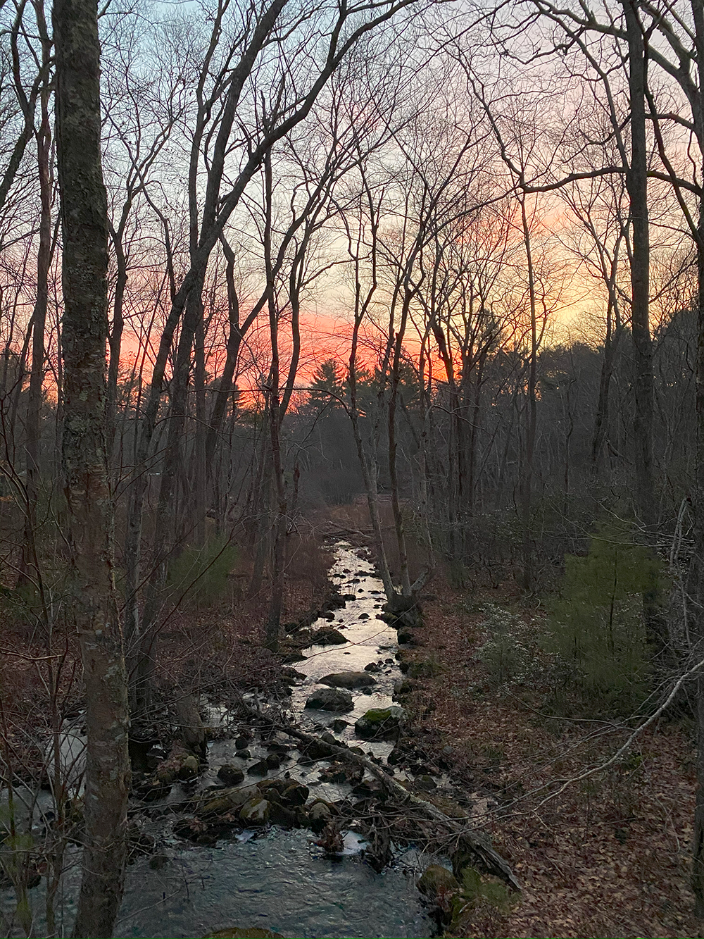 the stream at sunset